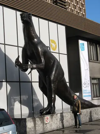 Muséum des Sciences naturelles in Bruksela
