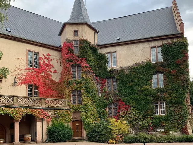 Musée du vignoble et des vins d'Alsace in Kaysersberg Vignoble