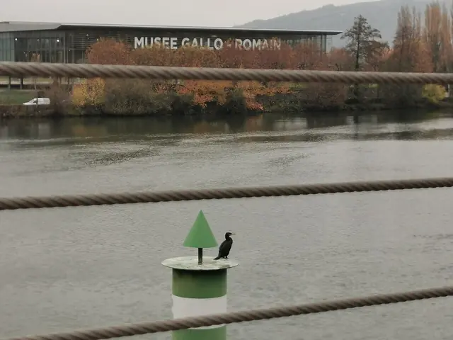 Musée gallo-romain de Saint-Romain-en-Gal