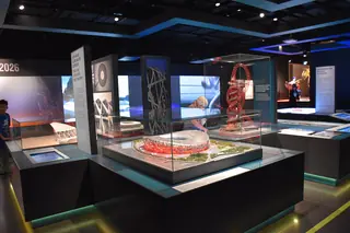Musée Olympique in Lausanne – Photo 7 sur 9