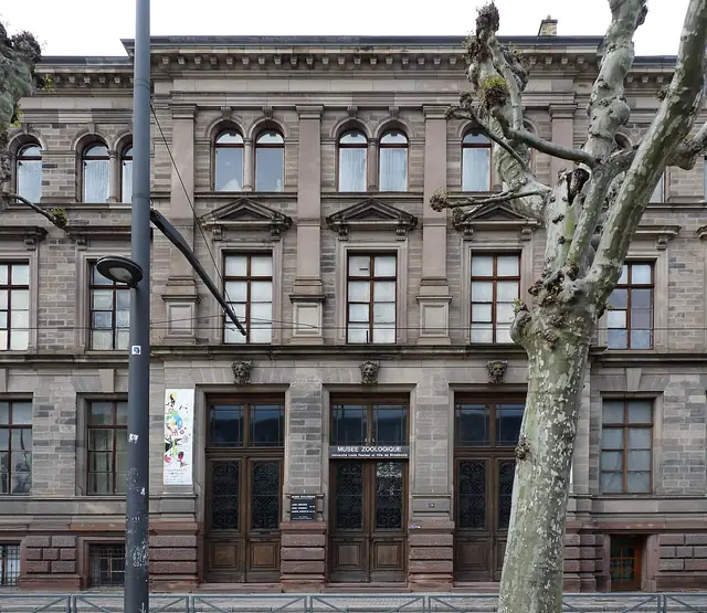 Musée zoologique de la ville de Strasbourg in Strasburgo