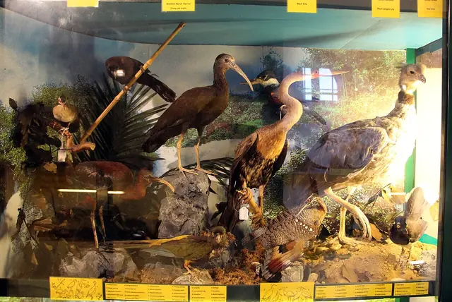 Musei di Villa Baciocchi in Capannoli