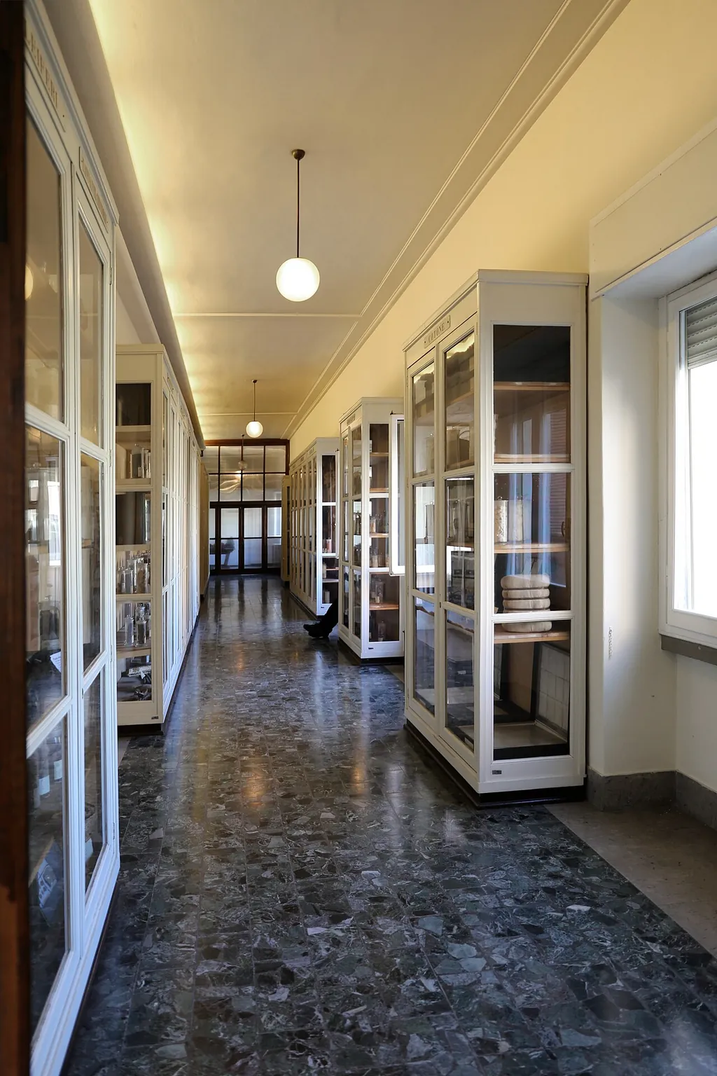 Museo agrario tropicale dell’istituto agronomico per Oltremare in Florence