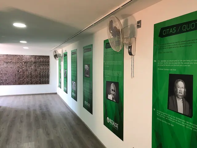Museo Aloe Vera Ibiza in Sant Antoni de Portmany
