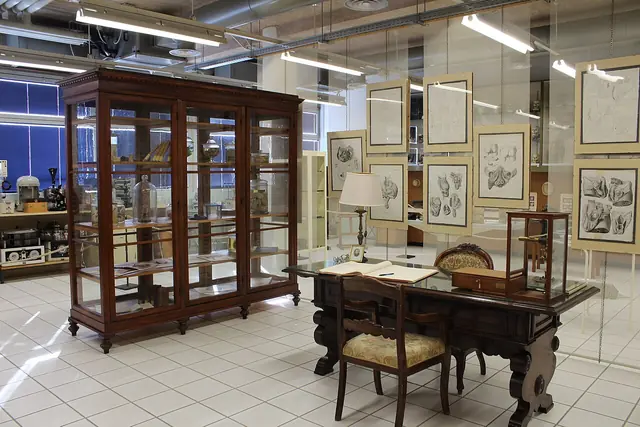 Museo anatomico "Leonetto Comparini" in Siena