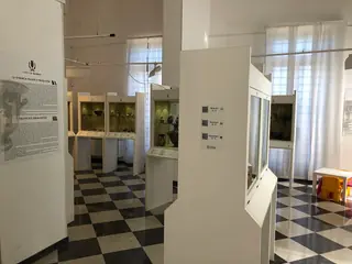 Museo archeologico comunale Salvatore Faldetta di Brindisi