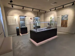 Museo archeologico di Torre di Palme in Fermo