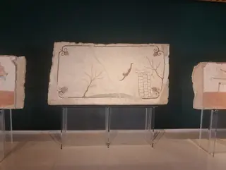 Museo archeologico nazionale di Paestum in Capaccio Paestum – Foto 2 di 9