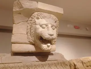 Museo archeologico nazionale di Paestum in Capaccio Paestum – Foto 7 di 9