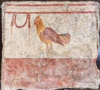 Museo archeologico nazionale di Paestum in Capaccio Paestum – Foto 8 di 9