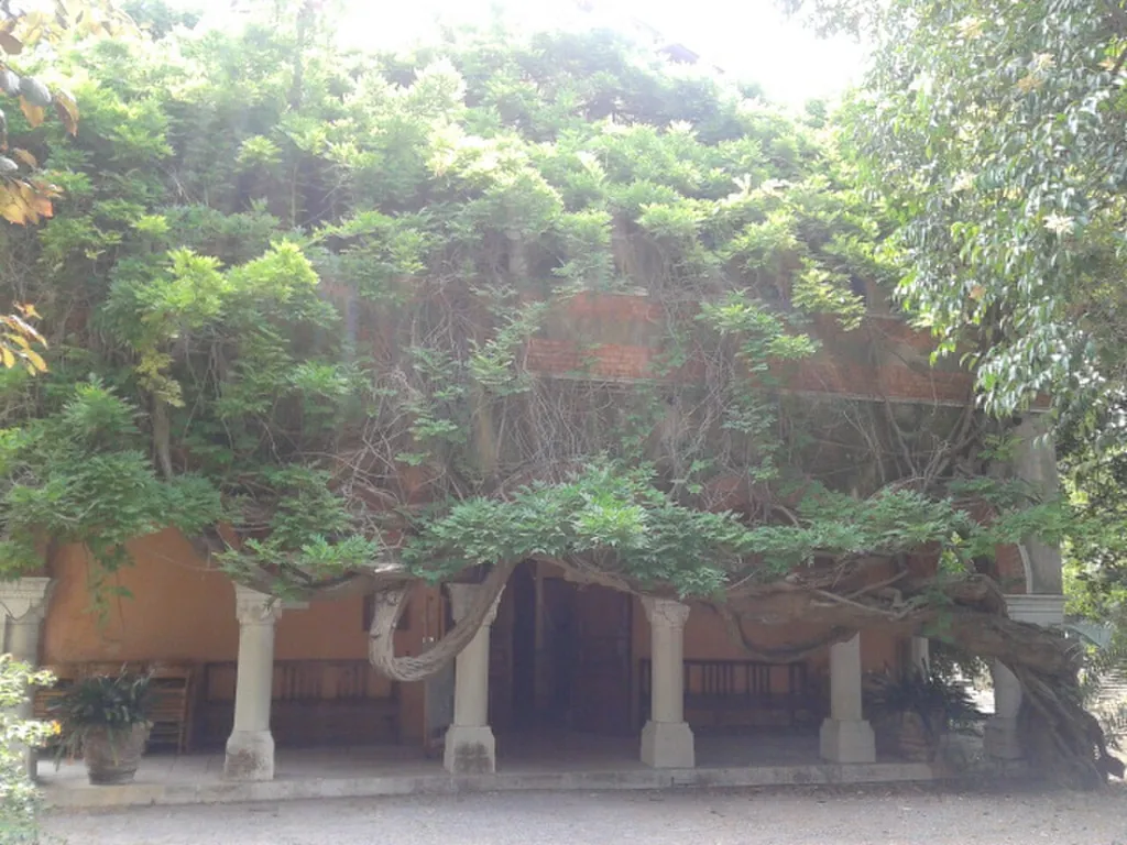 Museo Clarence Bicknell in Bordighera