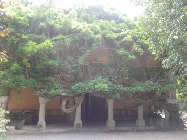 Museo Clarence Bicknell in Bordighera