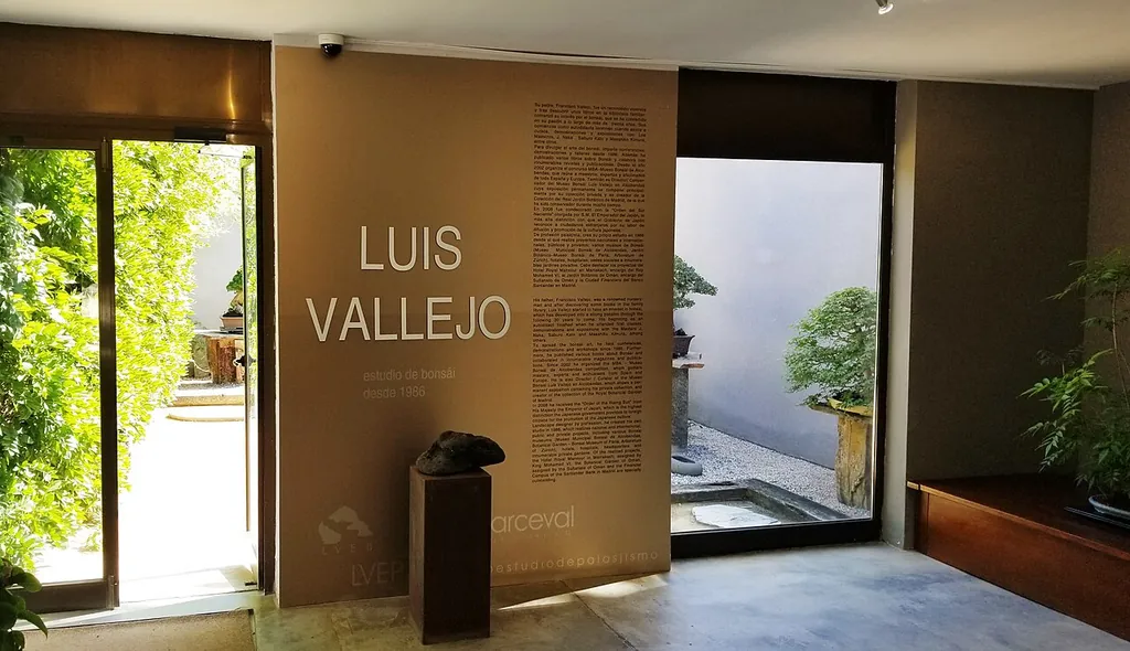 Museo Bonsái Luis Vallejo in Alcobendas
