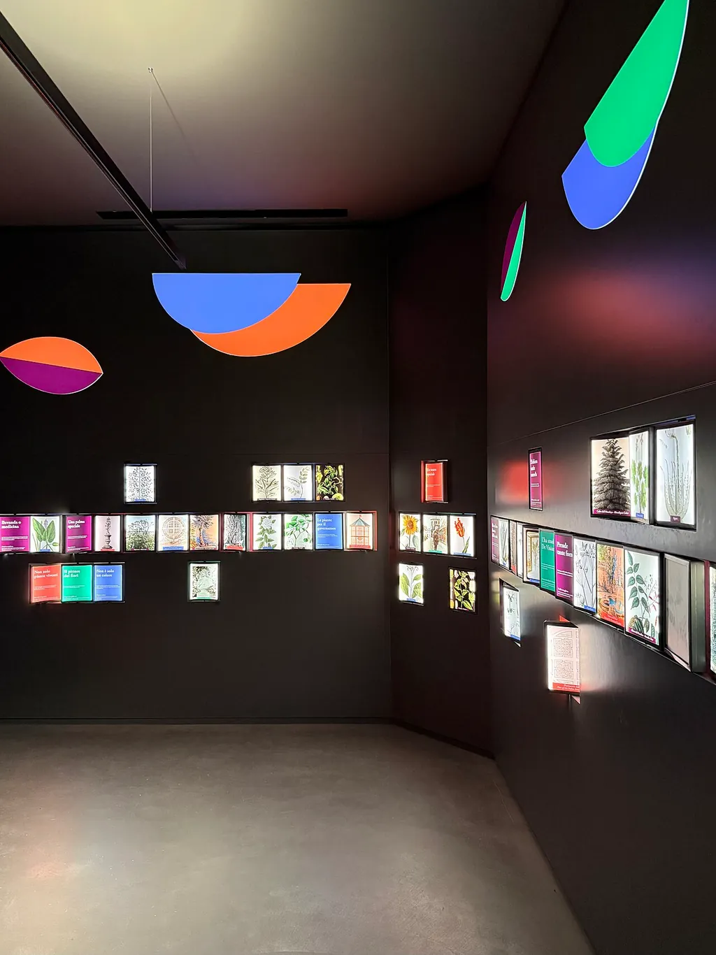 Museo Botanico in Padua