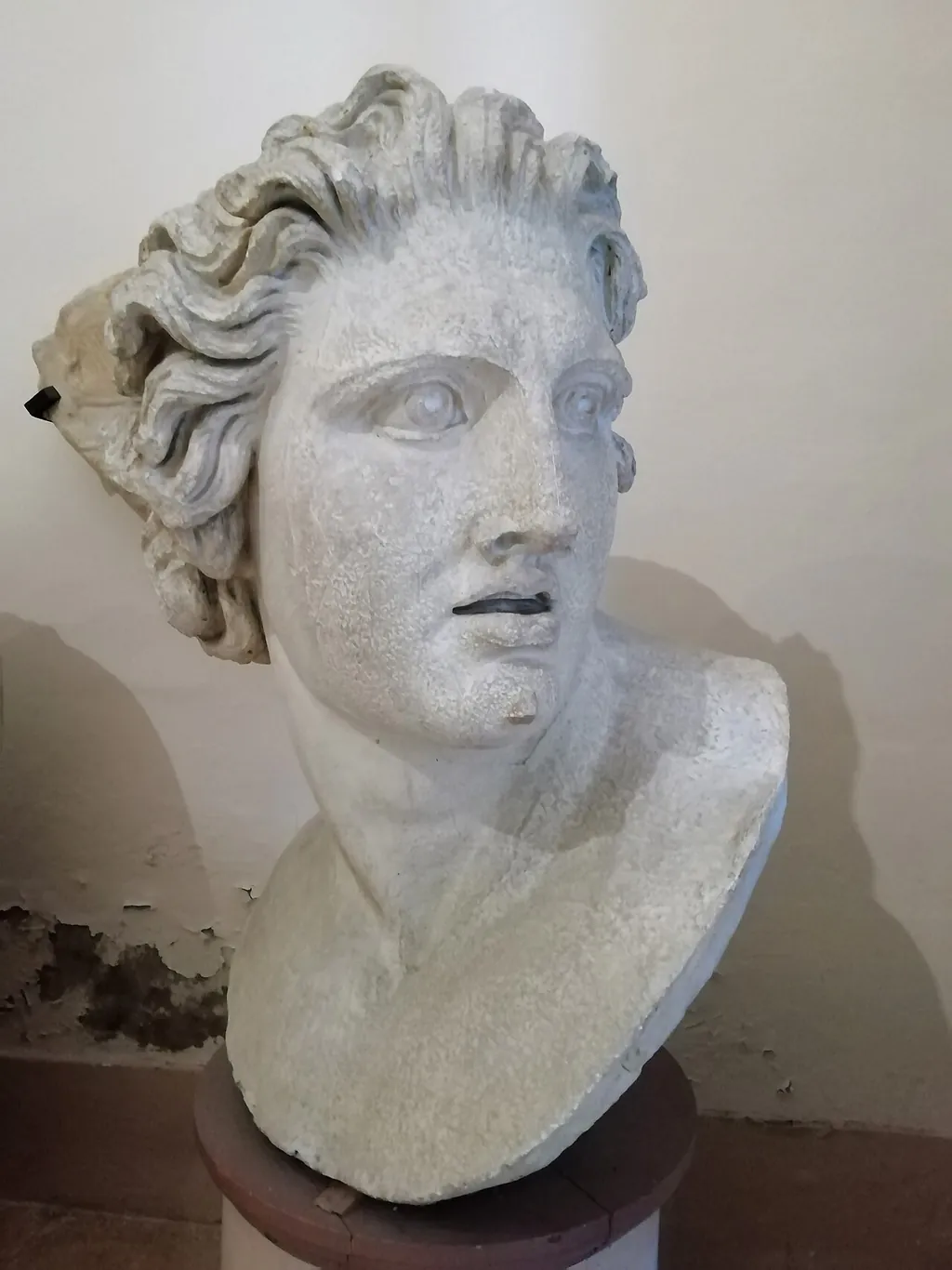Museo civico archeologico di Bologna – Photo 4 of 7