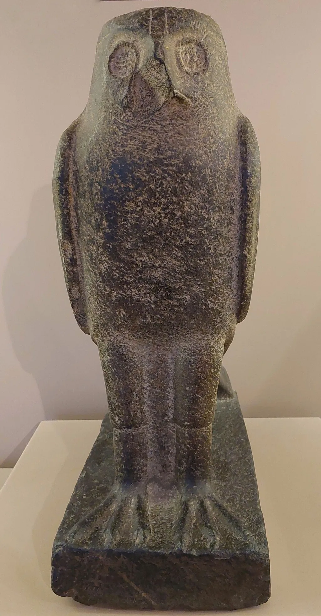 Museo civico archeologico di Bologna – Photo 6 of 7