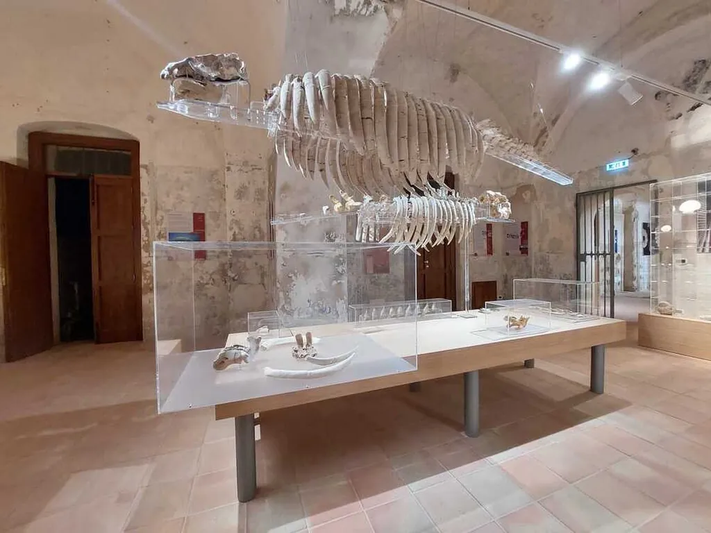 Civico Museo del Mare di Tropea (MuMaT)