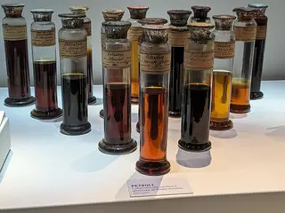 Museo Civico di Storia Naturale in Mailand – Bild 6 von 8