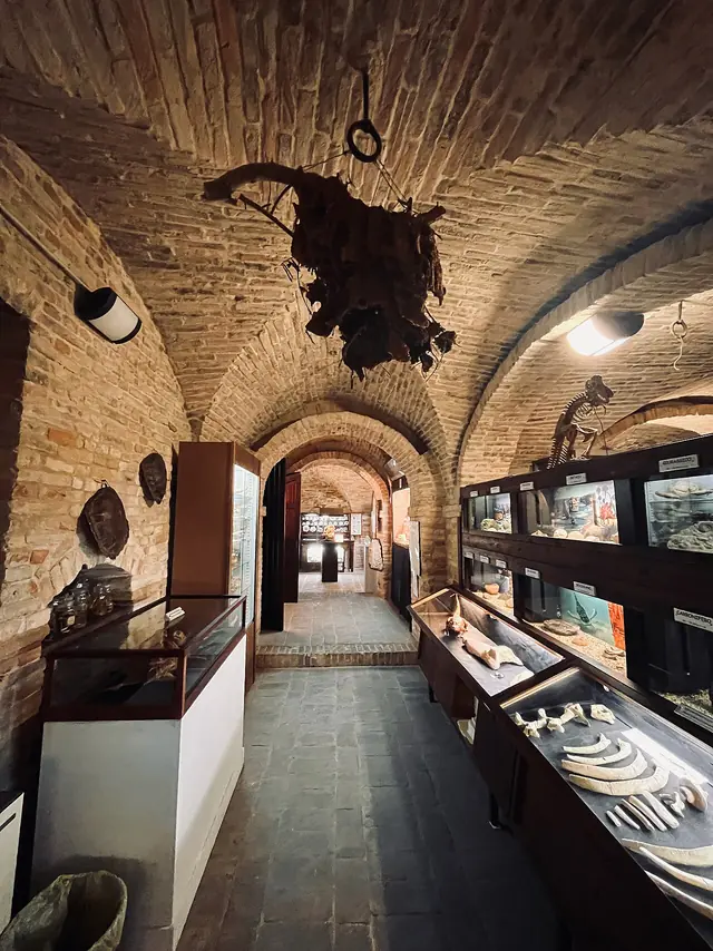Museo civico di storia naturale in Macerata