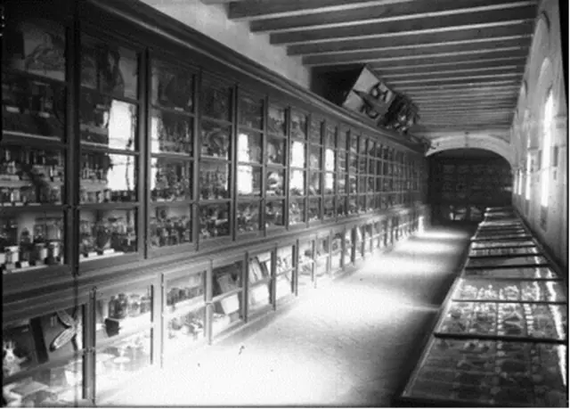 Museo de Geología de la Universidad de Sevilla
