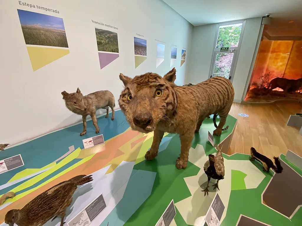 Museo de Historia Natural Luís Iglesias in Santiago de Compostela – Photo 2 of 2