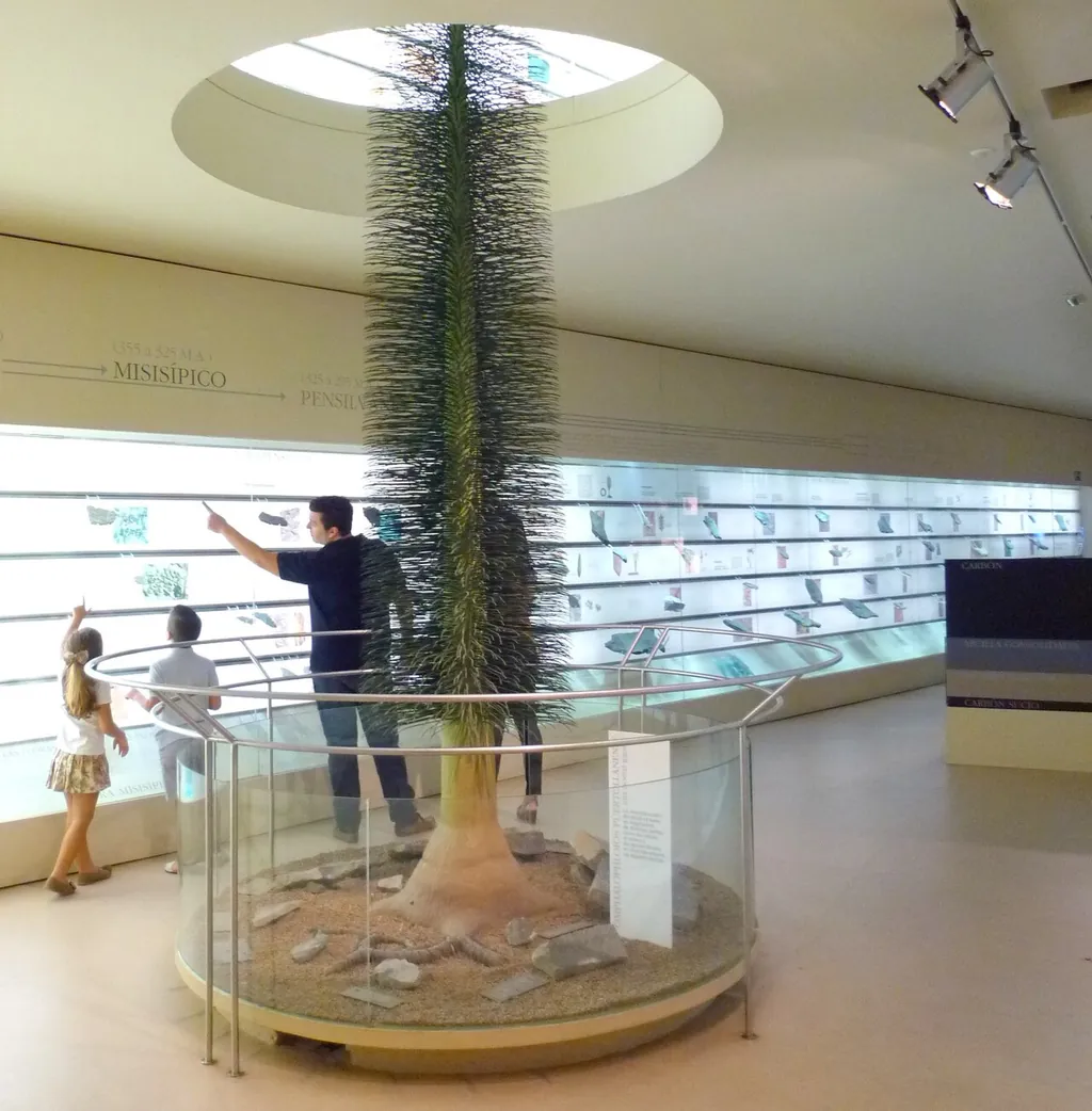 Museo de Paleobotánica Roberto Wagner in Córdoba