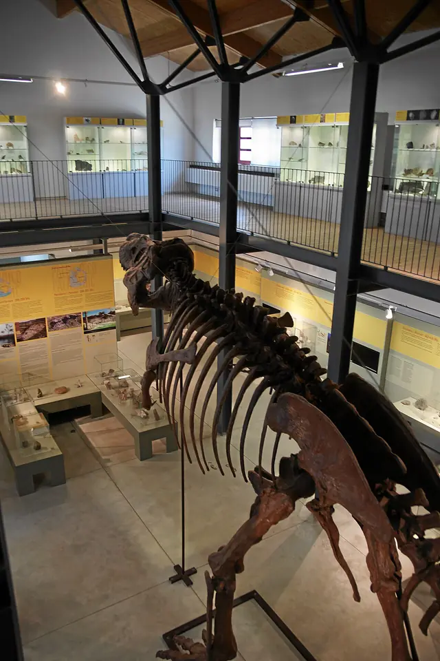 Museo dei paleoambienti sulcitani Edouard Alfred Martel in Carbonia
