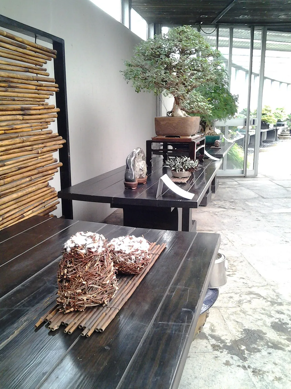 Crespi Bonsai Museum in Parabiago