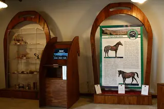 Museo del Cavallino della Giara in Genoni