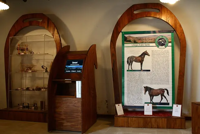 Museo del Cavallino della Giara in Genoni
