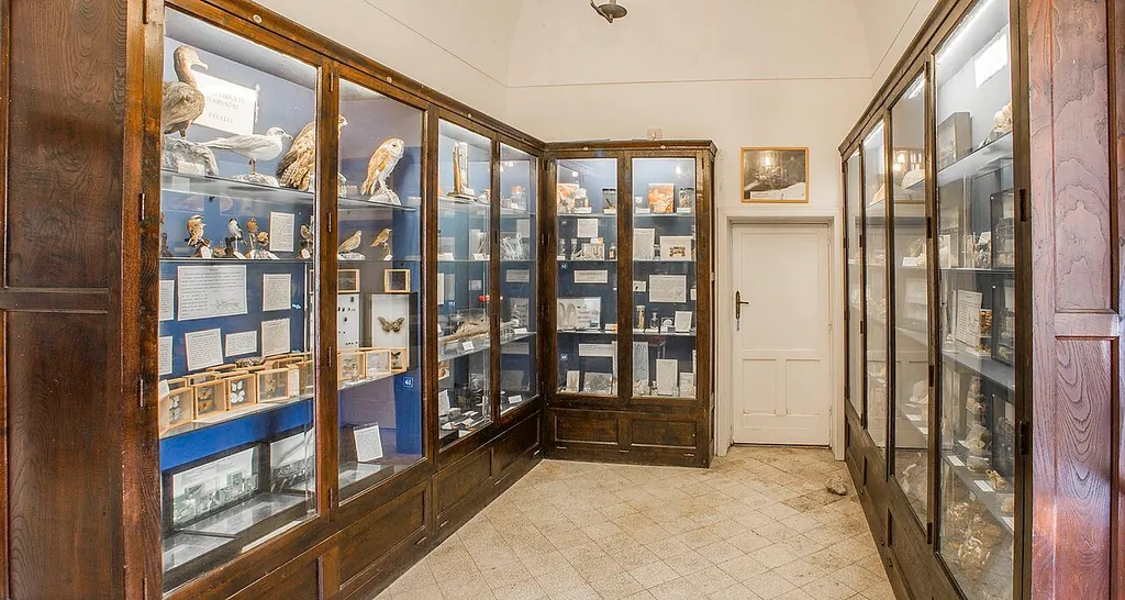 Museo del centro caprense Ignazio Cerio in Capri