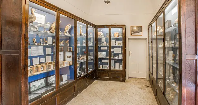 Museo del centro caprense Ignazio Cerio in Capri