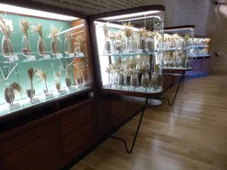 Museo del Cereal in Arévalo – Photo 2 of 5