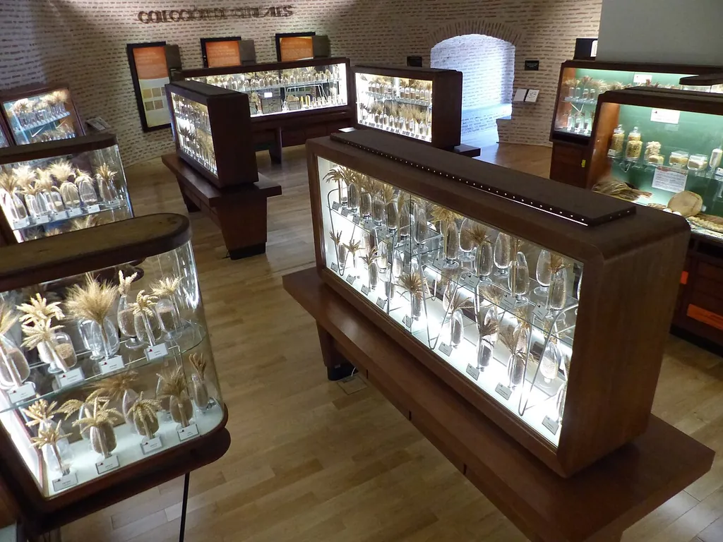 Museo del Cereal in Arévalo – Photo 3 of 5