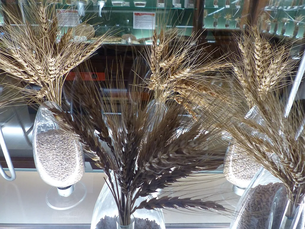 Museo del Cereal in Arévalo – Photo 4 of 5