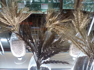 Museo del Cereal in Arévalo – Photo 4 of 5