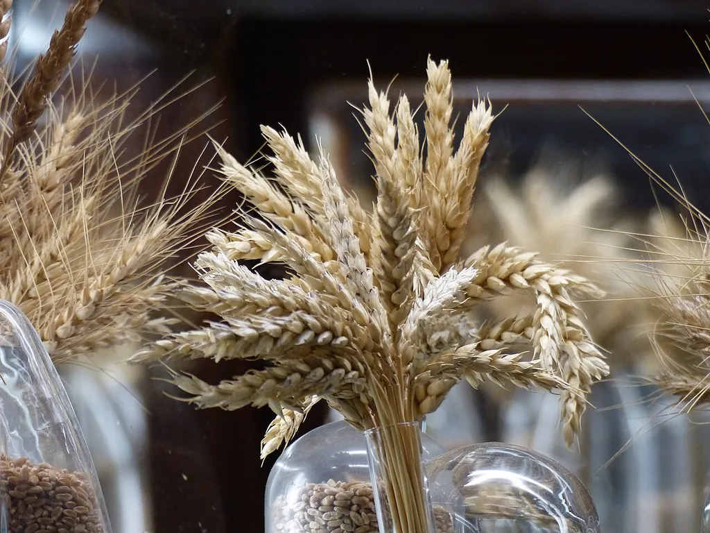 Museo del Cereal in Arévalo – Photo 5 of 5