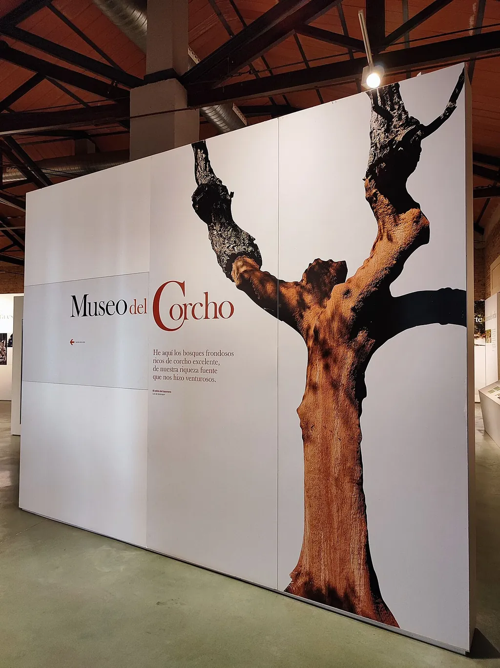 Museo de Identidad del Corcho in San Vicente de Alcántara