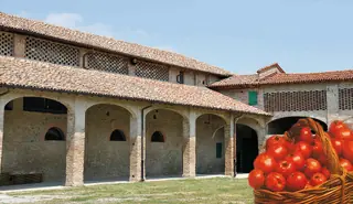 Museo del pomodoro in Collecchio