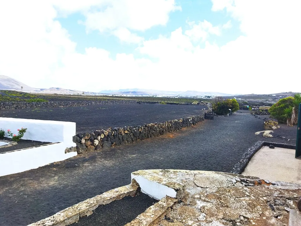 Museo del Vino El Grifo in San Bartolomé – Photo 7 of 7