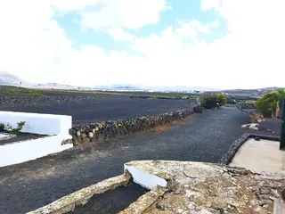 Museo del Vino El Grifo in San Bartolomé – Photo 7 of 7
