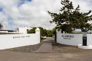 Museo del Vino El Grifo in San Bartolomé – Photo 1 of 7