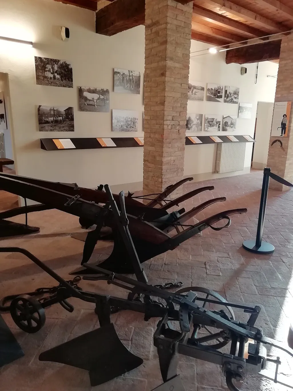 Museo del vino e della società rurale "Rosso Graspa" in Castelvetro di Modena