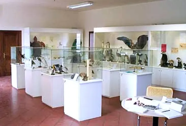 Museo dell'Ecologia in Cesena