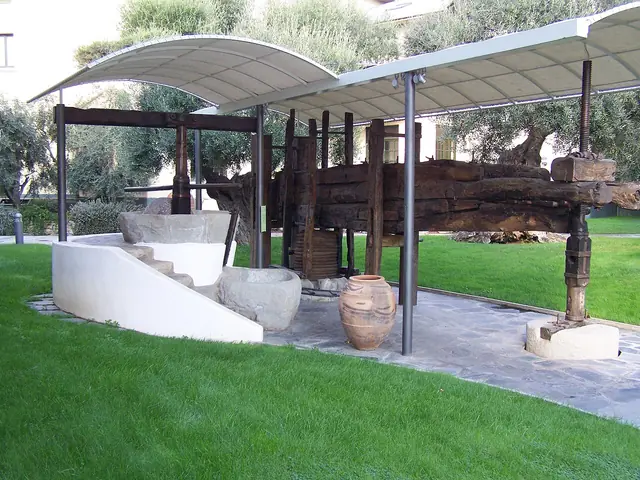 Museo dell'Olivo "Carlo Carli" in Imperia