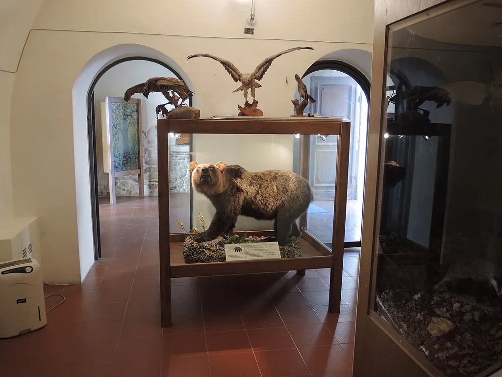 Museo dell'orso in Gagliano Aterno