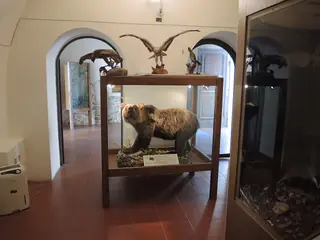 Museo dell'orso in Gagliano Aterno