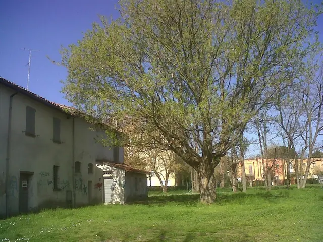Museo della frutticoltura «Adolfo Bonvicini» in Massa Lombarda