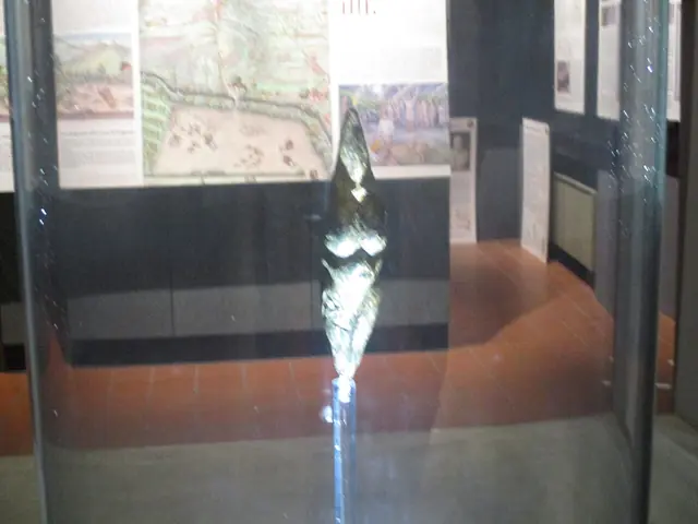 Museo della Venere e dell'elefante in Savignano sul Panaro