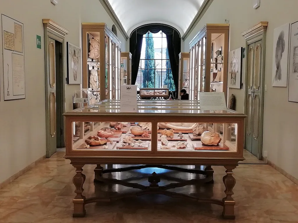 Collezione delle Cere Anatomiche «Luigi Cattaneo» in Bologna
